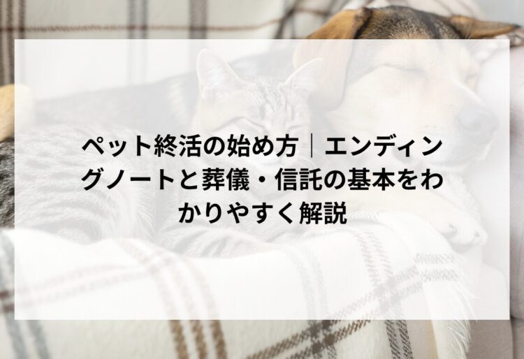 ペット終活の始め方｜エンディングノートと葬儀・信託の基本をわかりやすく解説の画像