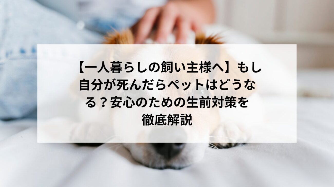 【一人暮らしの飼い主様へ】もし自分が死んだらペットはどうなる？安心のための生前対策を徹底解説の画像