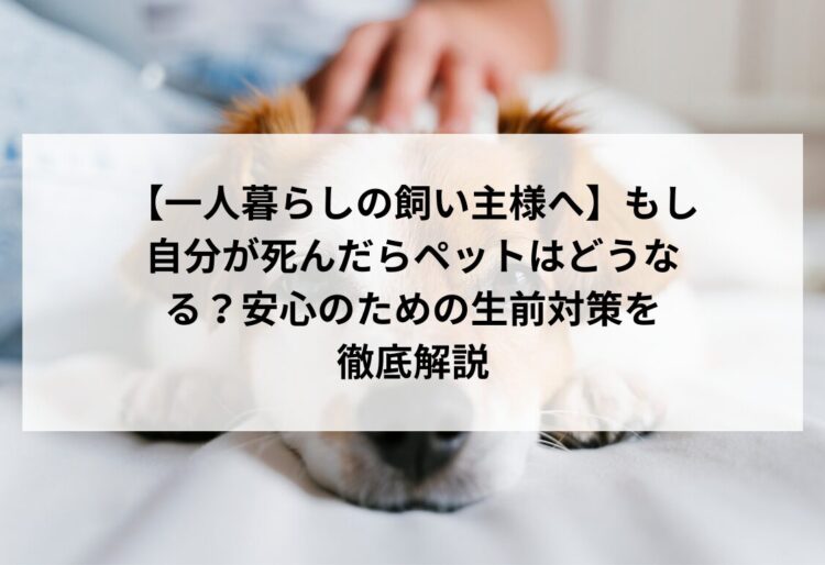 【一人暮らしの飼い主様へ】もし自分が死んだらペットはどうなる？安心のための生前対策を徹底解説の画像