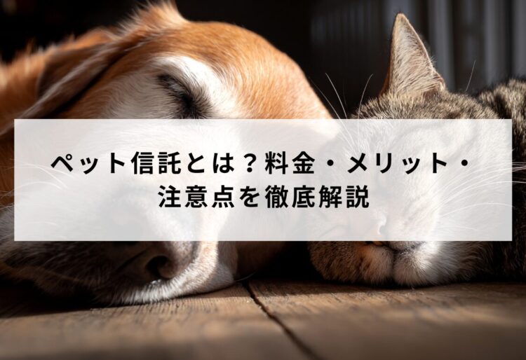 ペット信託とは？料金・メリット・注意点を徹底解説の画像