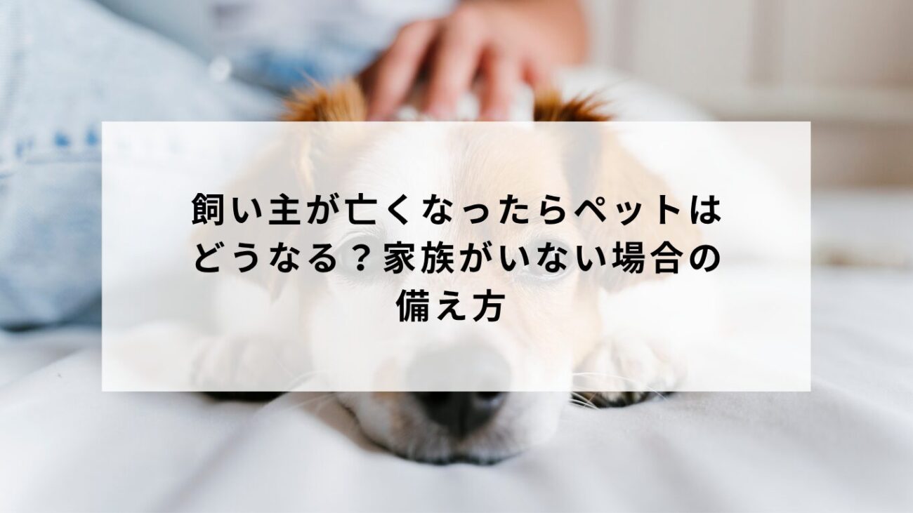 飼い主が亡くなったらペットはどうなる?家族がいない場合の備え方 の画像