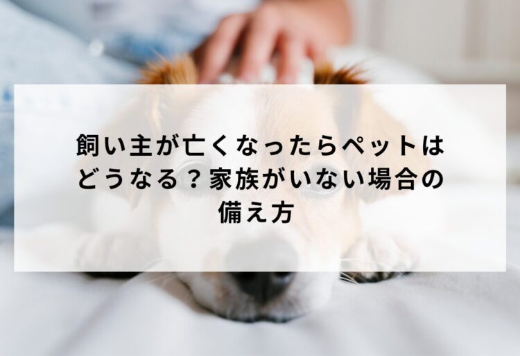 飼い主が亡くなったらペットはどうなる？家族がいない場合の備え方 の画像